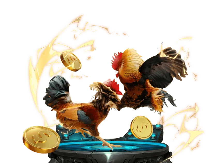 Sòng bạc trực tiếp bi888